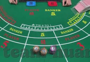 排球世界杯2019美女-2019年排球世界杯，美女与激情的碰撞