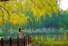 av澳门首家赌场-澳门赌场风云,澳门首家赌场的历史与影响