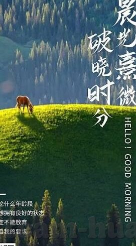 冰岛2019男篮世界杯-冰岛2019男篮世界杯之旅，梦想与现实的碰撞